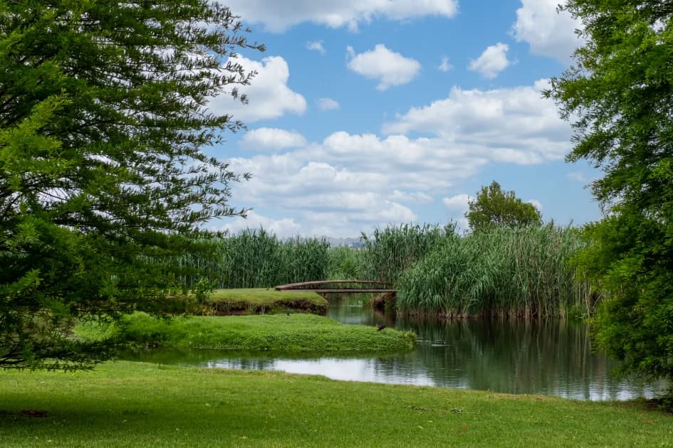 Outdoor Wedding Venues in Gauteng: Why a Wetland Setting Creates Unforgettable Photos
