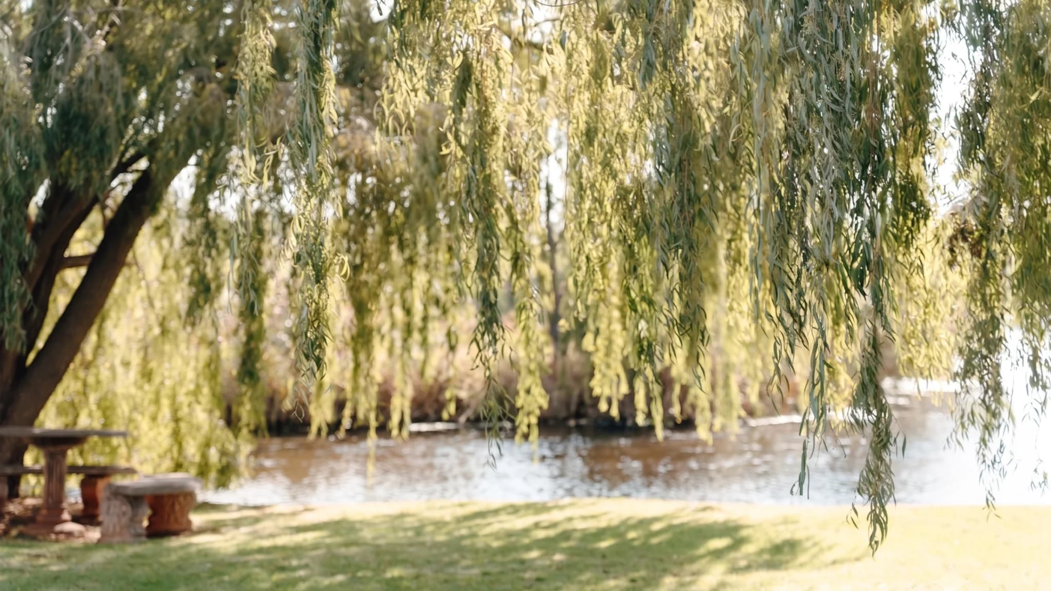 A couple kissing on the rivers edge at sunset